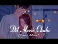 Dil Mera Chahe [Slowed & Reverb] - Arijit Singh | V-Series Lofi | hindi song |