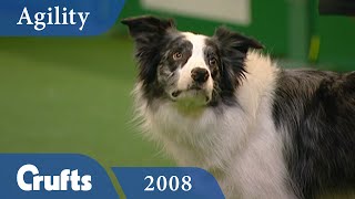 Agility - International Competition Final | Crufts 2008