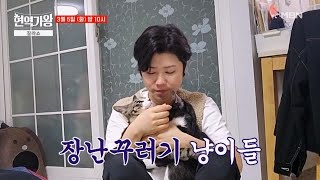 [선공개] 냥3 멍1 하우스 마이진, 어딘가 이상한(?) 전유진의 짐싸기 영상★ MBN 240305 방송