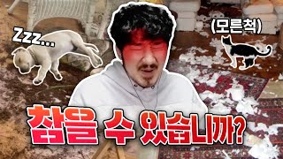 이런 상황을 참을 수 있습니까? (어쩌겠어요)