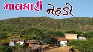 Amazing Video Barda WildLife Sanctuary ll Barda Hills ll Dungar