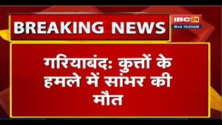 Gariaband में कुत्तों के हमले में सांभर की मौत | जान बचाने गांव में घुसा था सांभर