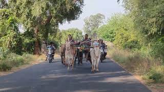 கரைமேல் அழகர் ஐயனார் துணை பயிற்சி பந்தயம்🔰🔰