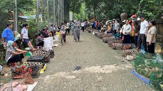 Chợ Vùng Cao Còn Nguyên Sơ Mộc Mạc Bình Yên & Bán Nhiều Đồ Lạ | Chợ Phiên Lùng Tám Quản Bạ Hà Giang