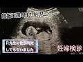 【妊娠3ヶ月】妊娠11週6日の妊婦検診 胎児エコー　Ｒ先生性別判定【ベビーナブ】