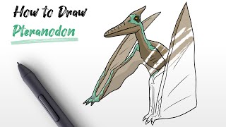 How to Draw a Pteranodon dinosaur from Jurassic World (Pterodactyl) easy Step By Step