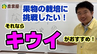 何か果物の栽培に挑戦したい！それならキウイがおすすめです！ただし品種選びには要注意です #キウイ #品種 #初心者向け