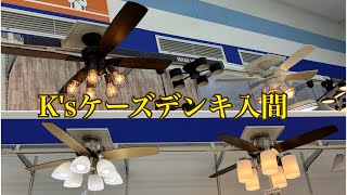 タキズミシーリングファン　ダイコーシーリングファン　K'sケーズデンキ入間店