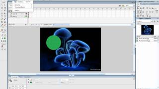 flash animation actionscript and masking
