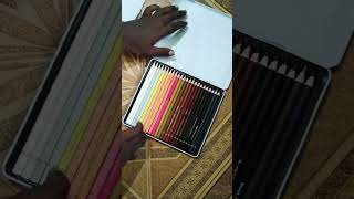 Brustro Artists’ Coloured Pencils Skin Tone Set of 24 unboxing #brustro #brustropaper #colourpencil