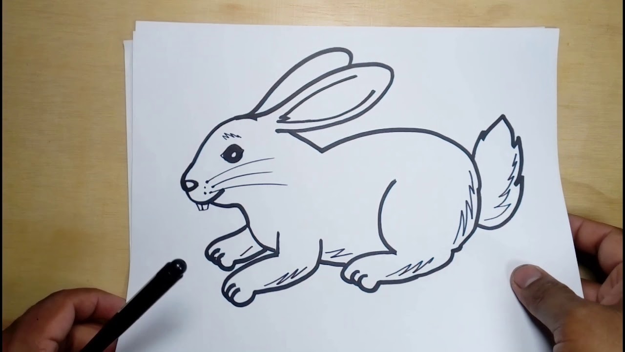 How To Draw A Rabbit Easily - YouTube