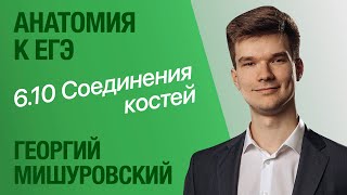 6.10. Соединения костей: неподвижные, полуподвижные, суставы | Анатомия к ЕГЭ | Георгий Мишуровский