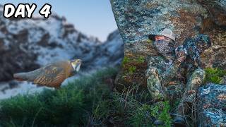 Searching for America’s Rarest Bird