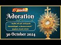 🔴 LIVE 30 October 2024 Adoration 11:00 AM | Madha TV