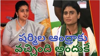 షర్మిలపై రోజా సంచలన వ్యాఖ్యలు|RK Roja shoking coments on Ys sharmila|AP politics|news