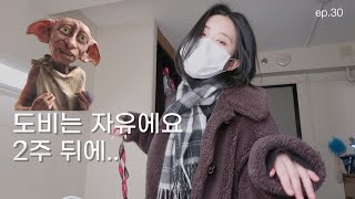 도비가 자유의 몸이 되기까지 남은 시간 2주 | 미국대학 𝑽𝑳𝑶𝑮 • 12월 1주차