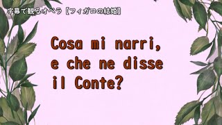 フィガロの結婚二十番ﾚﾁﾀﾃｨｰｳﾞｫ \