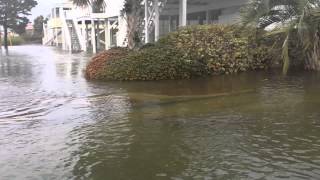 October 27, 2015 King High Tide Cherry Grove Beach SC