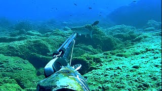 zıpkınla balık avı, kaçan trofe kefaller, spearfishing turkey, karavana ıska avlar, zıpkın avı