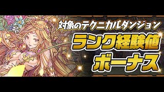 【パズドラ】マシンヘラ降臨　　壊滅級　経験値5倍　確認