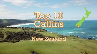 Catlins top 10 things to do New Zealand