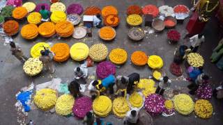 KR Flower Market Time-Lapse | Bangalore, India