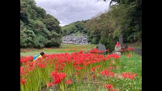 宮城・東松島・宮戸・月浜・大浜・室浜・観音寺方面へ