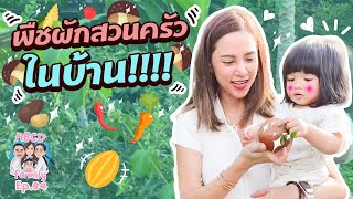 แม่อุ้มดิสนีย์ เก็บพืชผักสวนครัวในบ้าน!!! EP.84 | ABCD Family