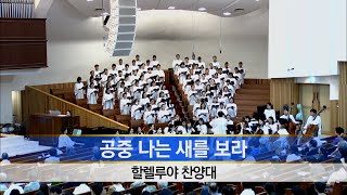 [소망교회] 공중 나는 새를 보라 / 할렐루야찬양대 / 20240915