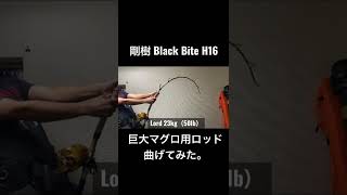 巨大マグロ用ロッド曲げてみた。剛樹 ブラックバイト H16#shorts #fishing #tuna #釣り #マグロ #剛樹 #gouki