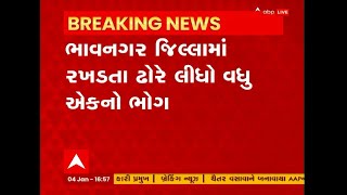 Bhavnagar: રખડતા ઢોર બન્યા 'યમરાજ', સાંઢે ટક્કર માર્યા બાદ આધેડનું સારવાર દરમિયાન મોત