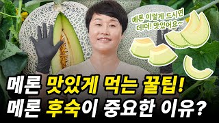 메론, 이렇게 먹으면 더 달다! 신선한 보관법 \u0026 커팅 꿀팁 대공개