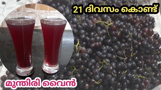 21ദിവസം കൊണ്ട് ഒരു കിടിലൻ മുന്തിരി വൈൻ | Grapes Wine|Christmas Special Wine