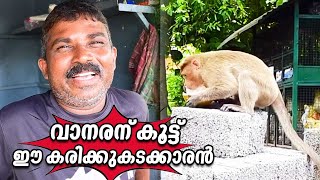 വാനരന് കൂട്ട് ഈ കരിക്കുകടക്കാരൻ | A Coconut seller \u0026 Monkey Friendship | Kerala