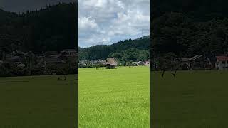 十日町の田園風景