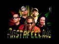 rastafeeling tem que regulamenta