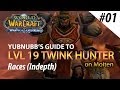 Yubnubbs Guide To LVL 19 Twink Hunter - Episode 01 Races Indepth