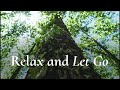 monastic led deep relaxation embodying mother earth br. thien duc