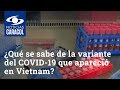 ¿Qué se sabe de la nueva variante del COVID-19 que apareció en Vietnam?