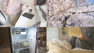 A new refrigerator has arrived ✍️ Small pleasures in a busy daily life / Living alone vlog