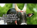 Vivasaya boomi/விவசாய பூமி/ தமிழர்கள் விவசாயத்தில் நாட்டு மாடு