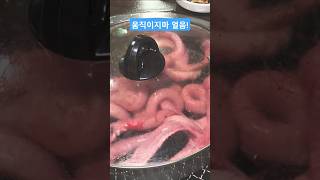 #움직이지마 #얼음 #오징어게임2 #자갈치꼼장어