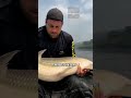 monster lake found in river shorts nature scary