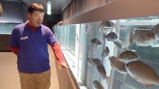 開館１年で１７万人が訪れた「むろと廃校水族館」の館長　若月元樹さん