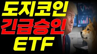 도지코인 급락 속 ETF 승인 보류🚨🚨3월에는 승인될까🚀🚀