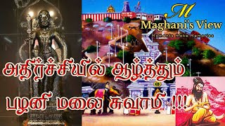 அதிர்ச்சியில் ஆழ்த்தும் பழனி மலை சுவாமி ! | The Secret and History of Palani Temple | Maghani's View