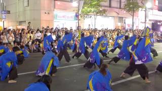 すすきの祭り2013 YOSAKOI - 北海道大学\