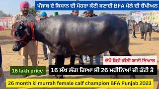 26 month ki murrah female calf champion BFA Dhanaula 2023,,ਪੰਜਾਬ ਦੇ ਕਿਸਾਨ ਦੀ ਮੋਹਰਾ ਕੱਟੀ ਬਣਾਈ ਚੈਂਪੀਅਨ