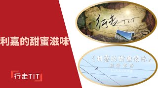 行走TIT第211集「利嘉的甜蜜滋味」 |  台東縣利嘉部落