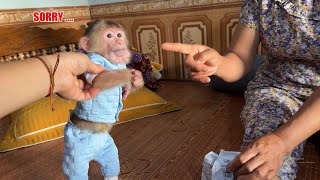 Baby Monkey David secretly steals Grandma's food while she is sleeping